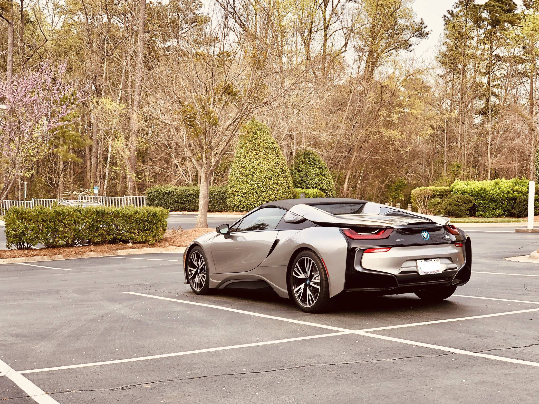 Too Fancy Car D